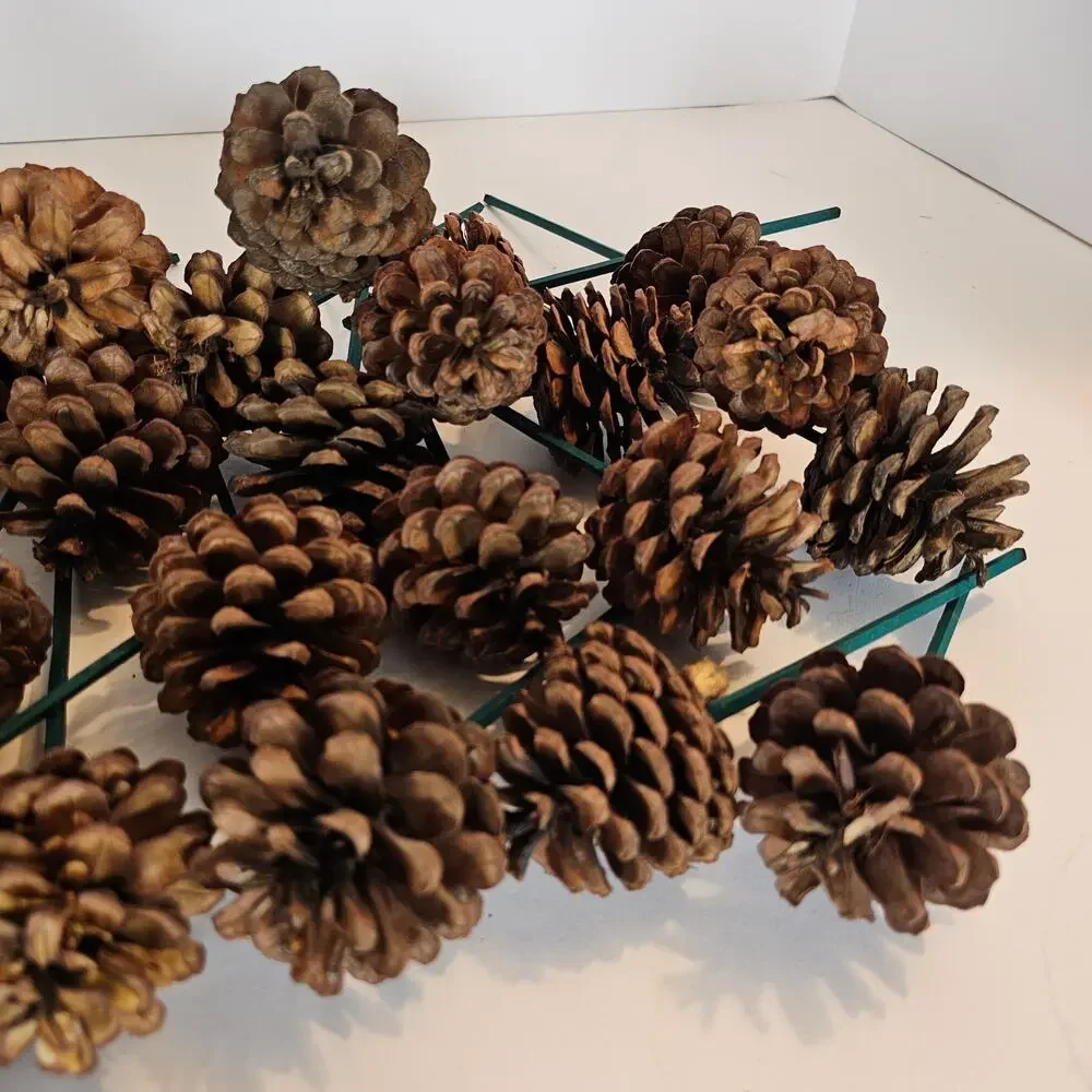 30 Natural Pine Cone Floral Picks 7in Green Wood Stems Wreath Craft Rustic Decor